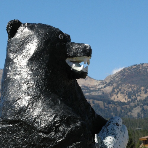 Your Headquarters for Winter and Summer Recreation in the Sawtooths