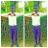 Dc_Ros's profile image