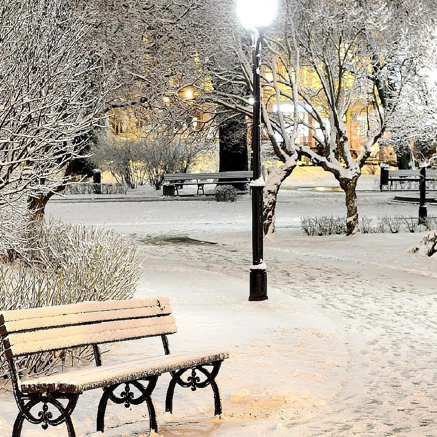 sohail_ghurko's profile picture. 