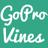 GoProViner's profile image