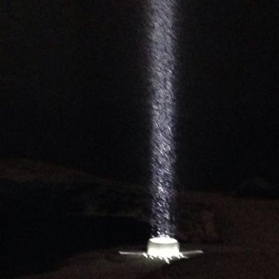 f1feesharpe's profile picture. lady of leisure 🌸                                         love my Lottie 🥕🥔🧅🥦🫛