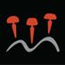 Peghead Nation (@pegheadnation) Twitter profile photo Peghead Nation (@pegheadnation) Twitter profile photo