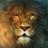 LionOfJhuda's profile image
