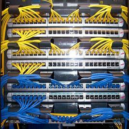 linkcable11's profile picture. 