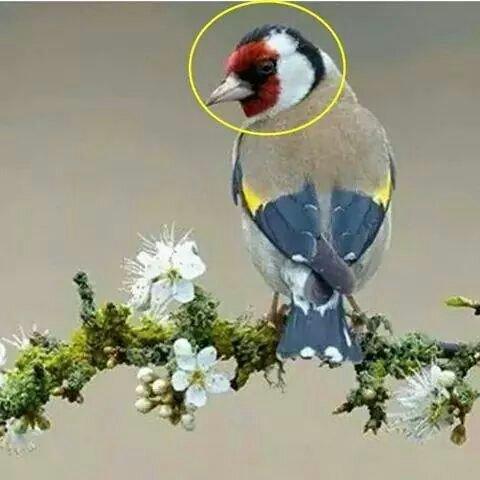اللهم أنت ثقتي ورجائي، فأكفني ما أهمني وما لا يهمني وما أنت أعلم به