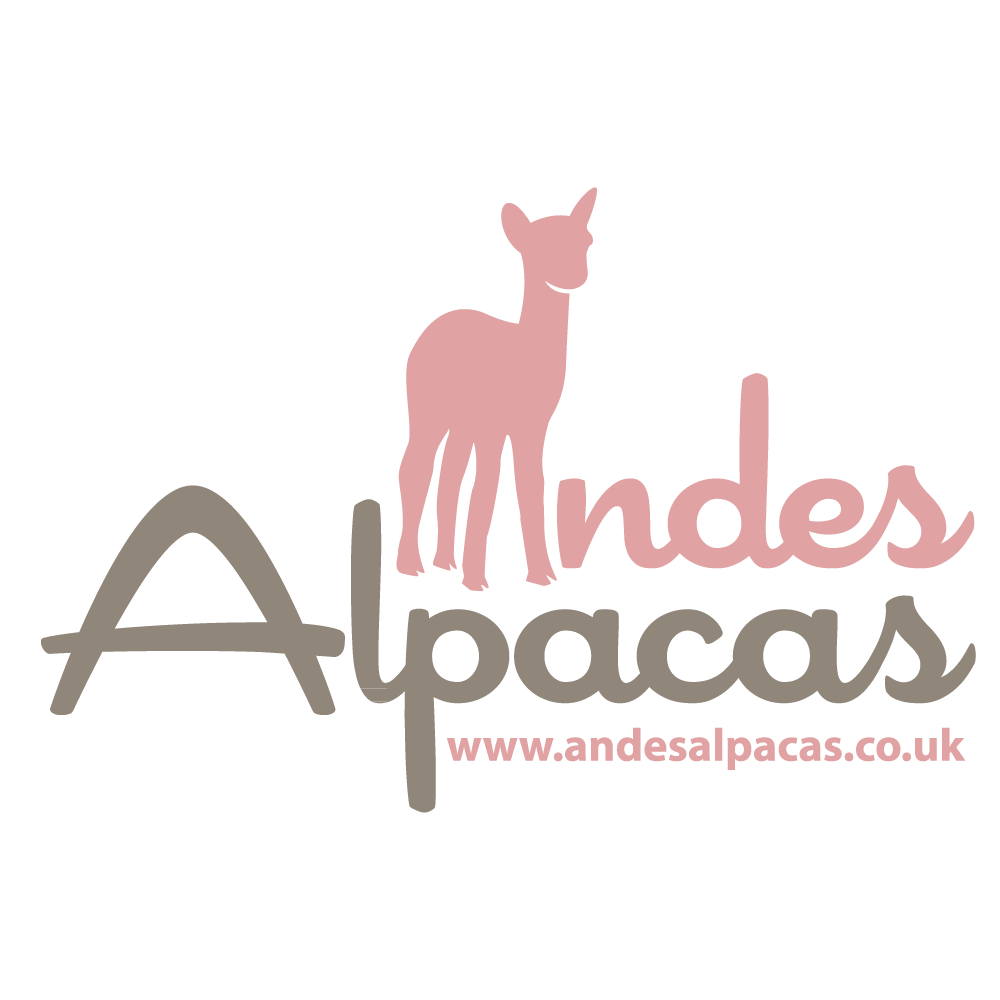 Alpaca Breeder - all things Alpaca: alpaca socks, fleece, yarn, trekking, felted natural alpaca soaps, weddings, stud service. Email: Alpacasdevon@gmail.com