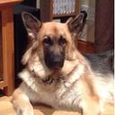 v7 TempZ - @CodyForbes6 - Twitter