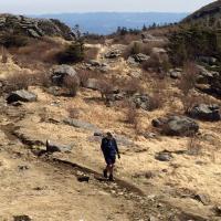 Daniel Thompson (@troublizing) 's Twitter Profile