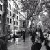Griselda (@grisi_perujo) Twitter profile photo Griselda (@grisi_perujo) Twitter profile photo