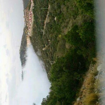 d7mio_o's profile picture. 