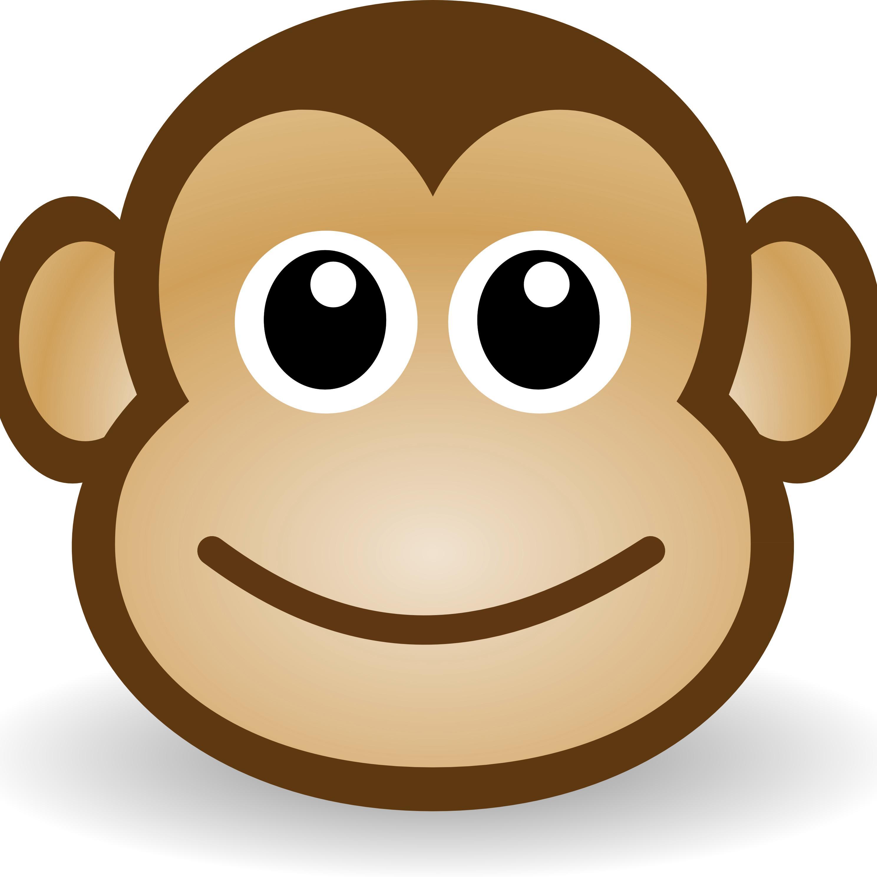 Code Monkey