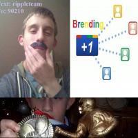 PTOWarriorsWin's profile picture. 