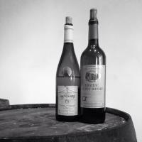The Library Wine Bar (@208thelibrary) 's Twitter Profile Photo