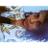 zzzandria_'s profile image