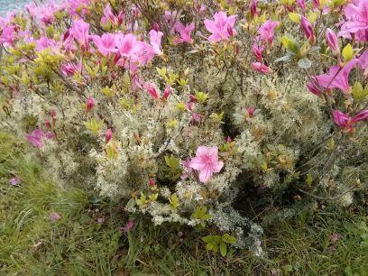 fgbi_pfc's profile picture. 