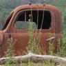BShaunS1's profile picture. Writer & Aspiring Author. Capturing Life & History through a camra, NMSU Alum  #ThrivingWhileWriting!