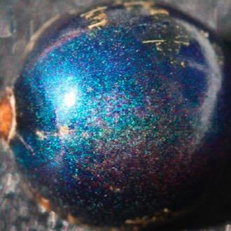 abraxas5555's profile picture. 