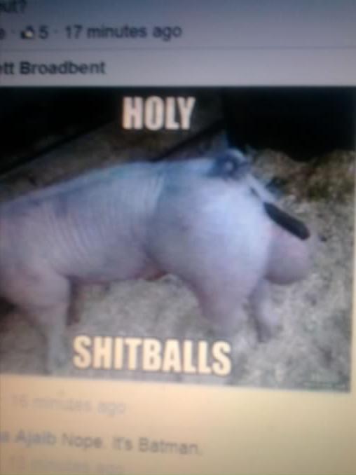 howtomakenuts's profile picture. If u follow me tell other people about me and tell them i follow back...this twitter page is for 18's and over