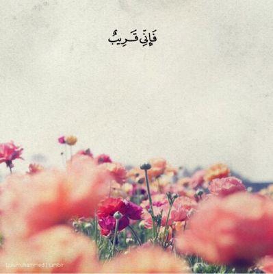 alhazmi_dalia's profile picture. ⚜️Anatomic Pathologist⚜️