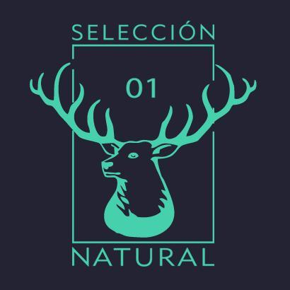 No sigo a cualquiera. Si lo hago contigo, es porque quiero mostrarte algo.
