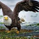 Chepe Sanchez - @chepesanchez37 - Twitter