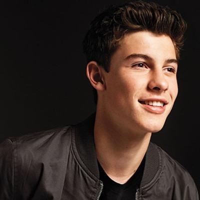 dedicated to supporting the bae , Shawn Mendes
