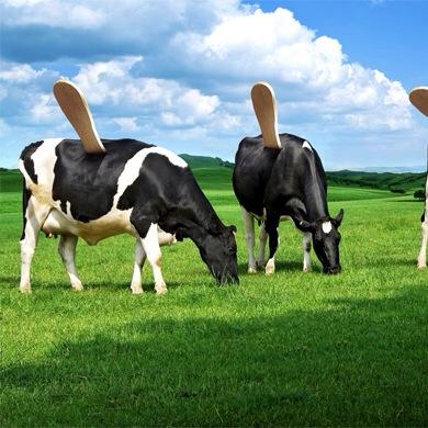 moo_deja's profile picture. Irish Organic Dairy pop up and mobile shop based in Dublin. We aim to bring out the best Quality produce, Creativity, Ideas and service. New boys on the block