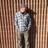 Profile Picture of Michael Hakkarinen (@@EdTecHakk) on Twitter