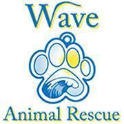 501(c)(3) NPO for the charitable purposes of preventing cruelty to animals. Adoptable pets, volunteer info, and corporate info available on our website.
