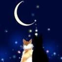 ProperlRzuhmeiq's profile picture. 美しくなりたいと、日々悩んでいます。綺麗なものをいろいろみて、美味しいもの食べることが大好きです。そこでダイエットが必要になってしまいました。ダイエットに関心・興味あるものをつぶやきます。相互フォロー大歓迎です。よろしくお願いします。