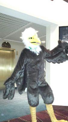 Just another burd brain burd.