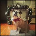 Marisa Cross - @md_salas1 - Twitter