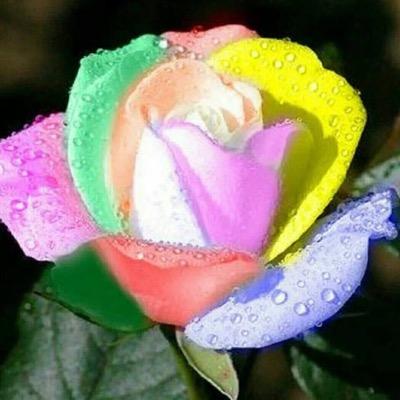 Mohsin1Odense's profile picture. ksksks