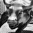 Econoconsult's profile image