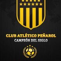 1891capdario's profile picture. 