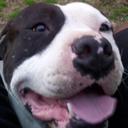 Darrell Gibson - @biggib225 - Twitter