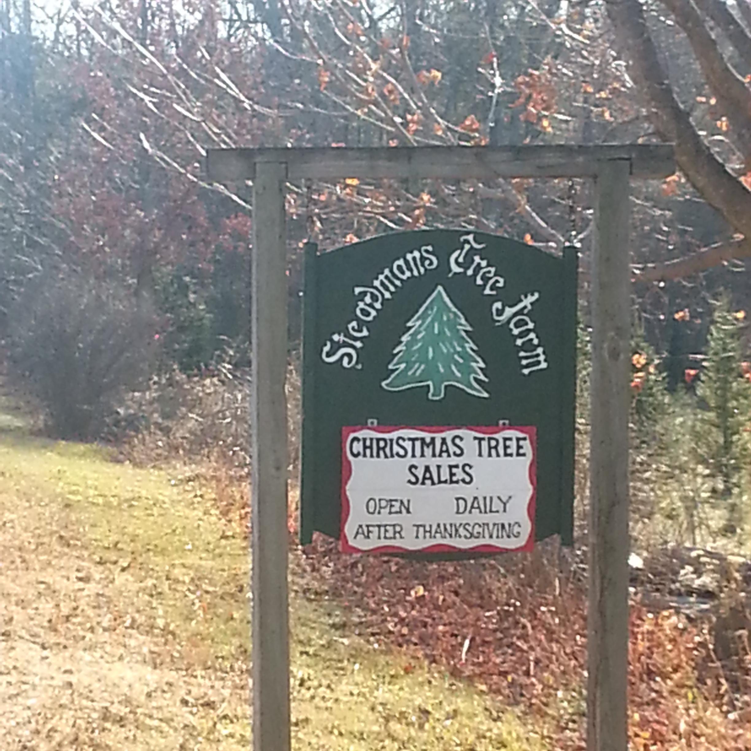 Christmas Tree Farms In Ct Best Decorations