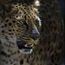 :O (@0000_leelqw) Twitter