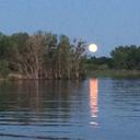 Paul Horner - @phorner1234 - Twitter