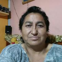 Elizabeth Tello (@0f7ccd209b00476) 's Twitter Profile