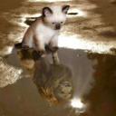 Jorge Colin Orozco - @toro12loco71 - Twitter