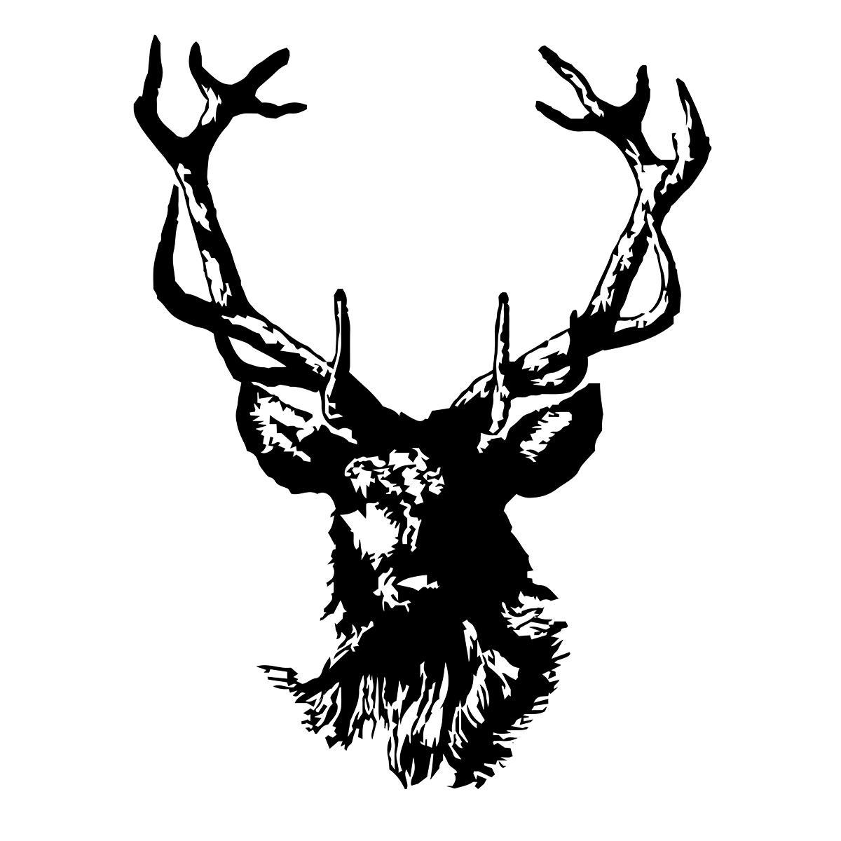 buckstudiopdx's profile picture. 2500 sq. ft. studio space in Industrial NW Portland. Hosts collaborative group of photographers. Studio available for client projects.