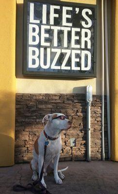 welovesocalbuzz's profile picture. I yam what I yam and that's what I yam