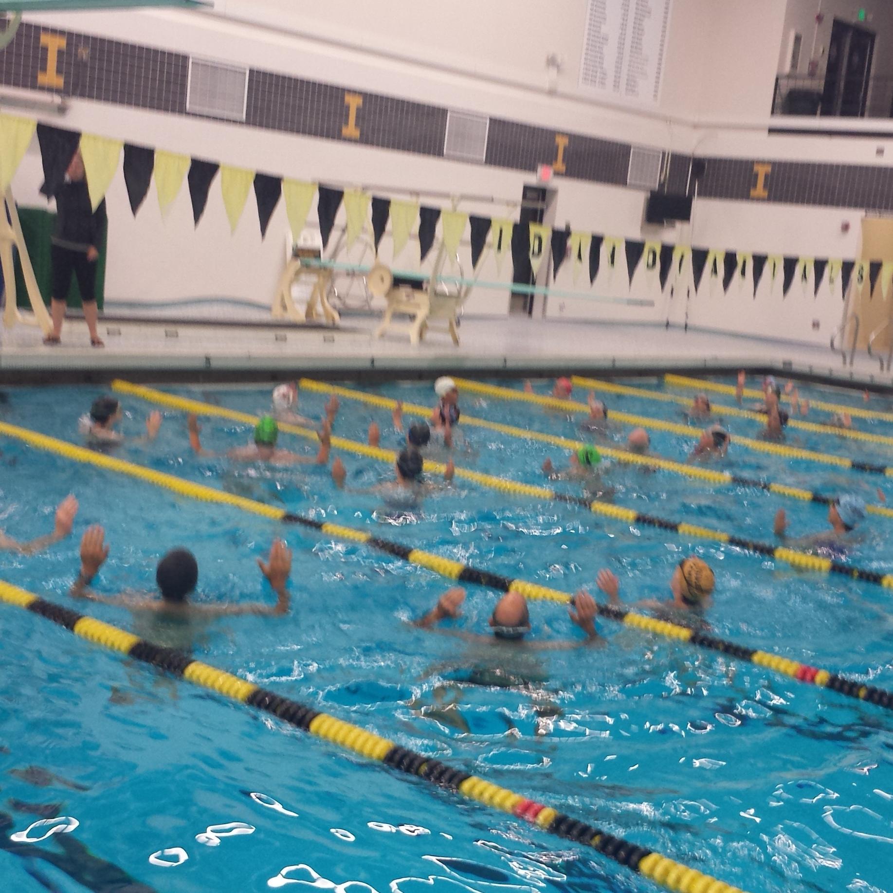 moscowchinooks's profile picture. 