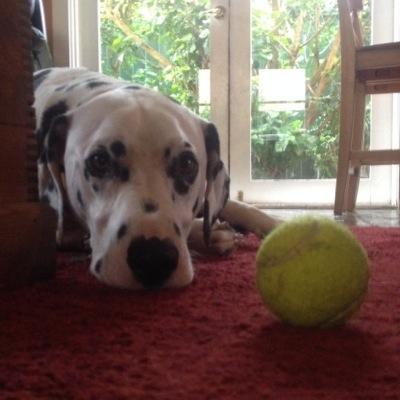 seymour_jo's profile picture. Digital journalist at News Corp Australia.