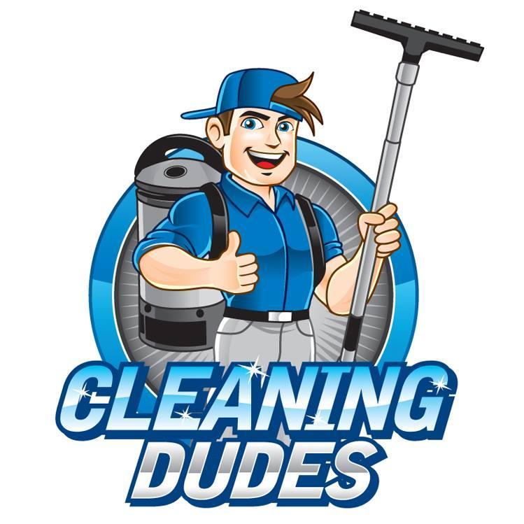 Dudes cleaning bikini photos 37