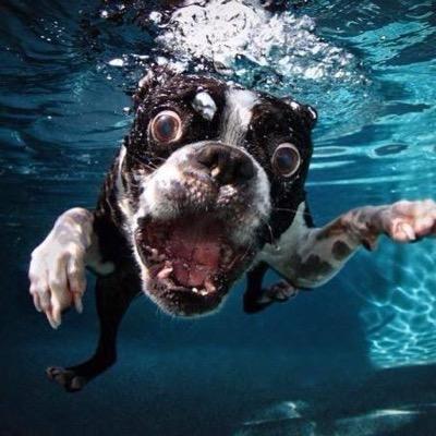 We are a group of physicians and EMT/EMS personnel interested in promoting safer recreational SCUBA diving. Our physicians are also dive professionals.