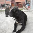 karol Torres - @83Karolt - Twitter