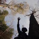 Thomas Lambert Music - @tlambertjams - Twitter