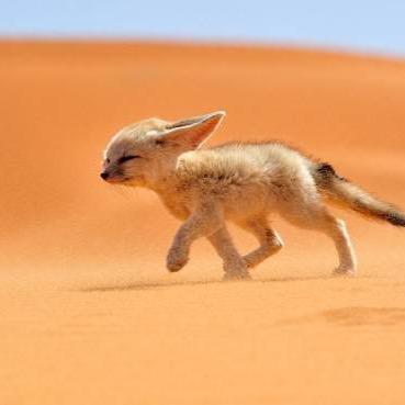 catberry00's profile picture. tana13。不易流行。けんやくんの成長を見守る氷の布陣。りくくんってはしゃぐんですか？